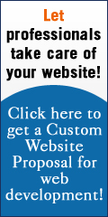Custom Website Proposal